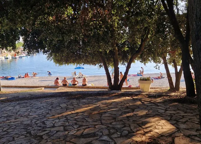 La Playa Apartament *