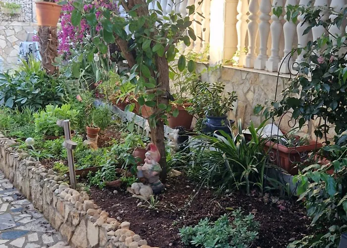 Apartament La Playa *